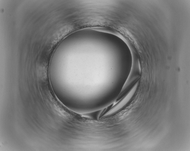 X0000088840393200706071425