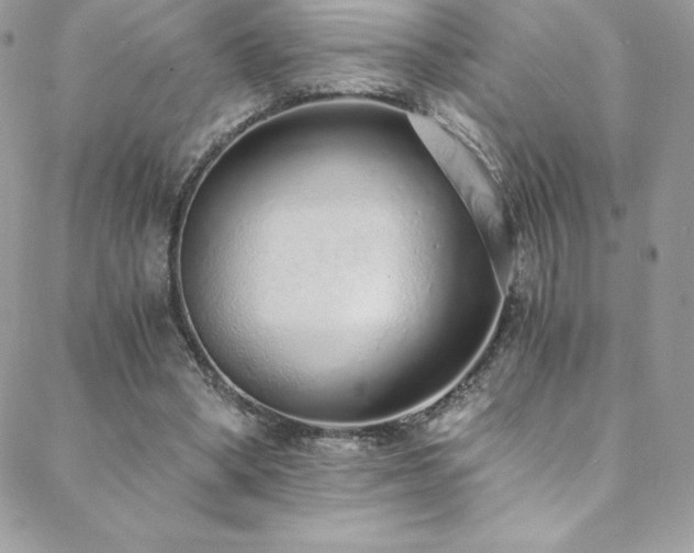 X0000088840394200706071425