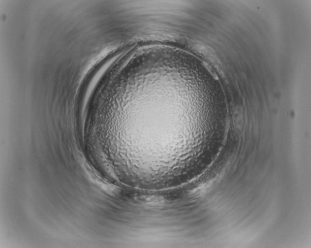 X0000088840395200706071425