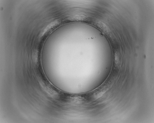 X0000088840396200706071425