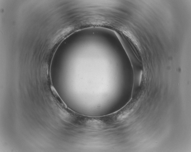 X0000088840397200706071425