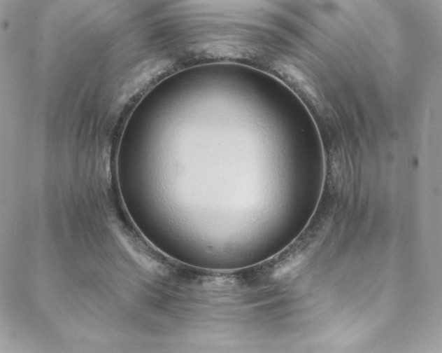 X0000088840398200706071425