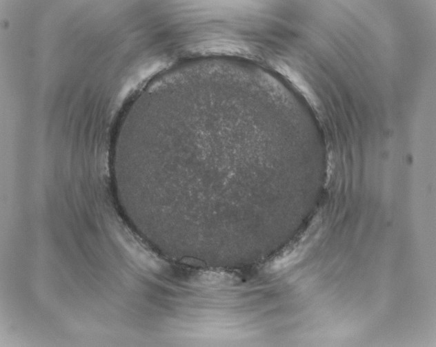 X0000088840399200706071425