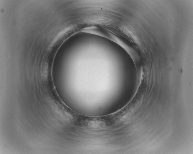 X0000088840400200706071425