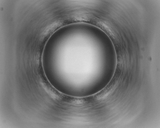 X0000088840402200706071425