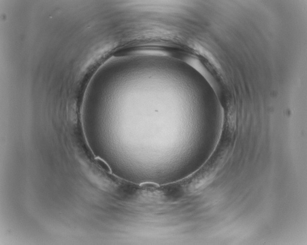 X0000088840403200706071425