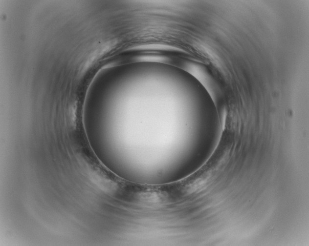 X0000088840404200706071425