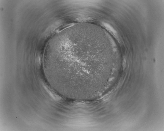 X0000088840405200706071425