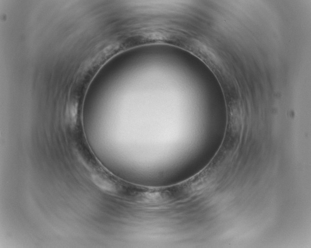 X0000088840406200706071425