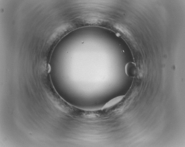 X0000088840407200706071425