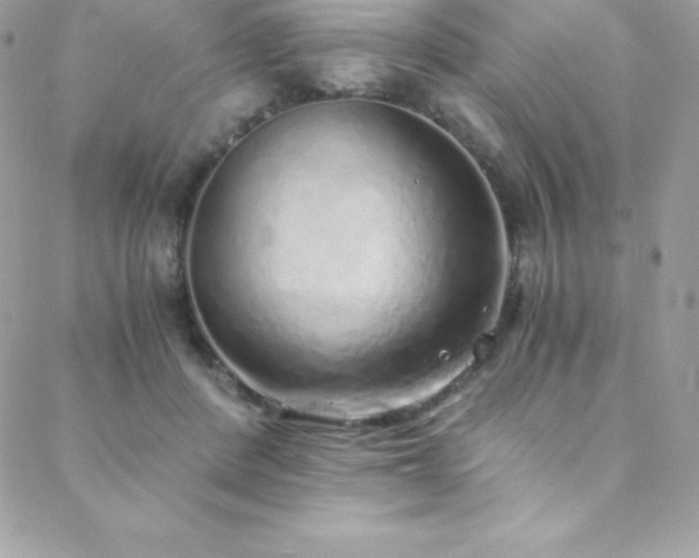 X0000088840408200706071425