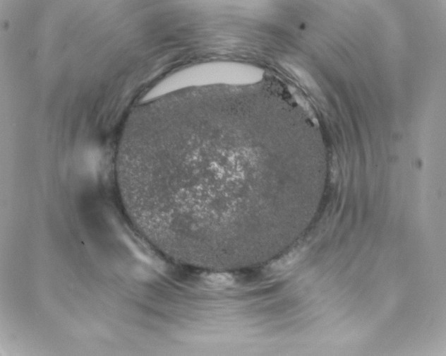 X0000088840409200706071425