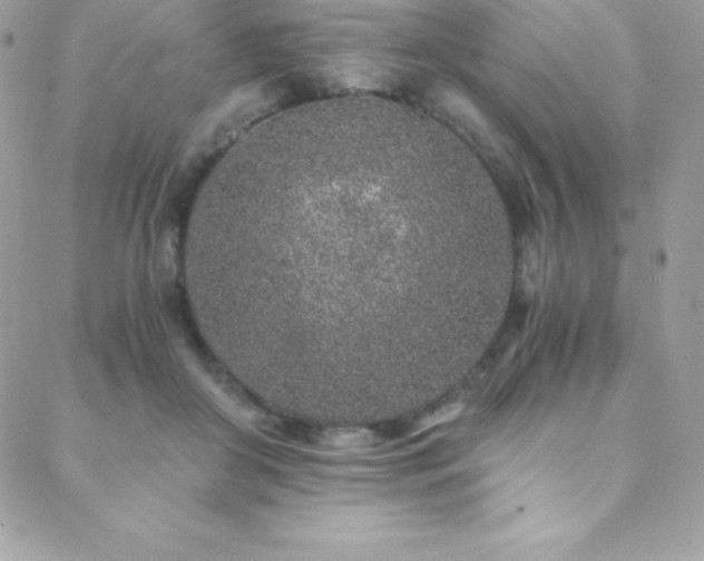 X0000088840410200706071425