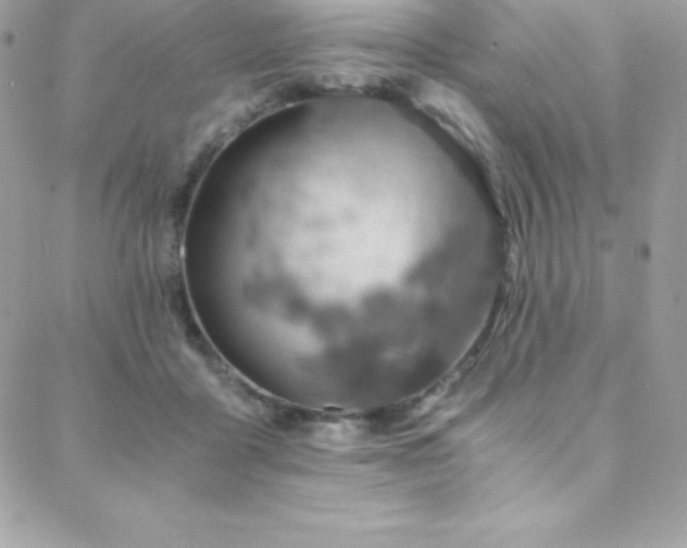 X0000088840411200706071425