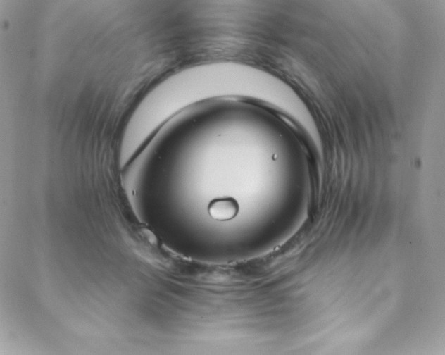 X0000088840412200706071425