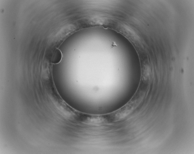 X0000088840414200706071425