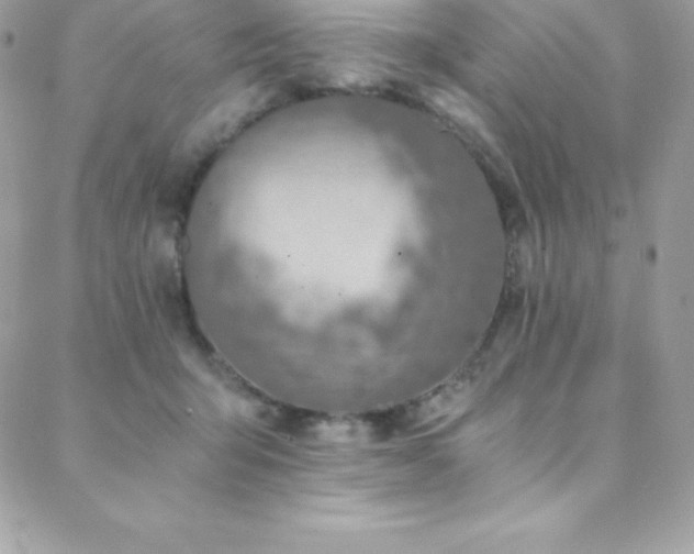 X0000088840415200706071425