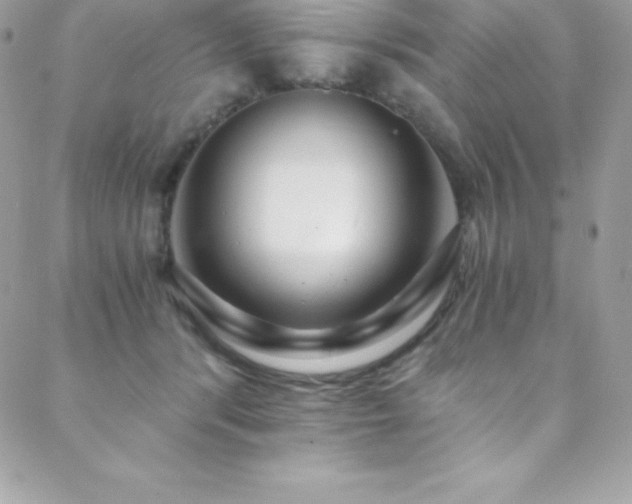 X0000088840416200706071425