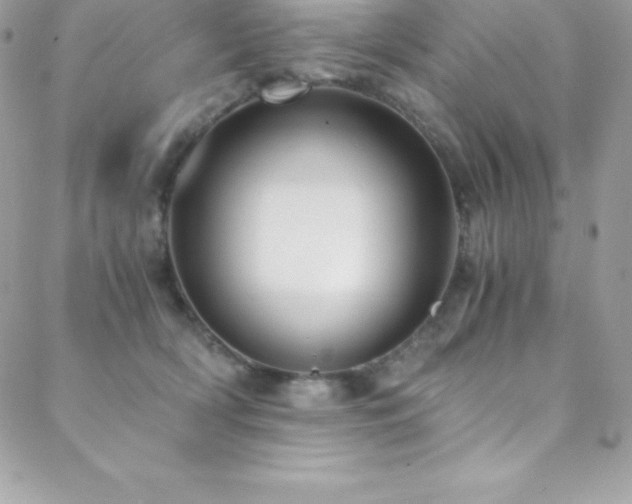 X0000088840418200706071425