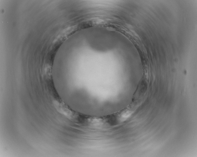 X0000088840419200706071425