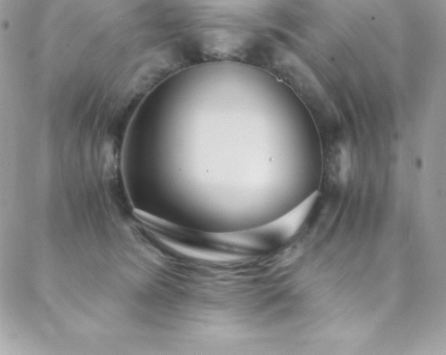 X0000088840420200706071425