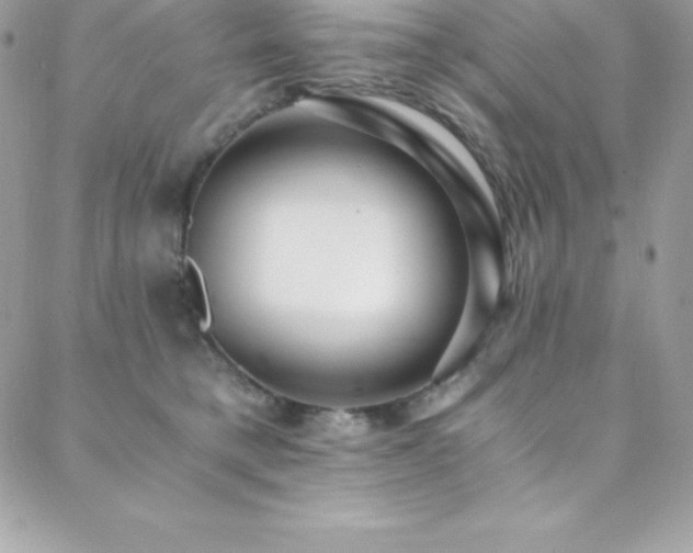 X0000088840421200706071425