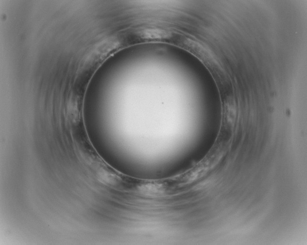 X0000088840422200706071425