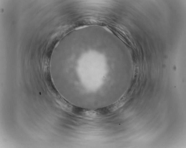 X0000088840423200706071425