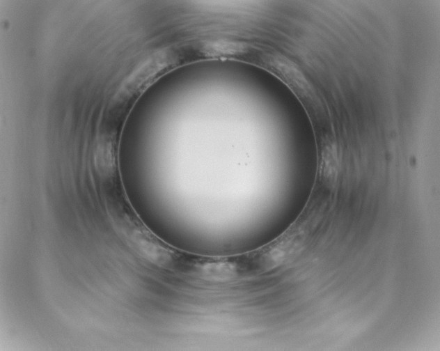 X0000088840426200706071425