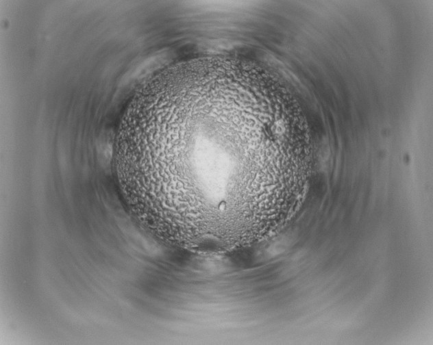 X0000088840427200706071425