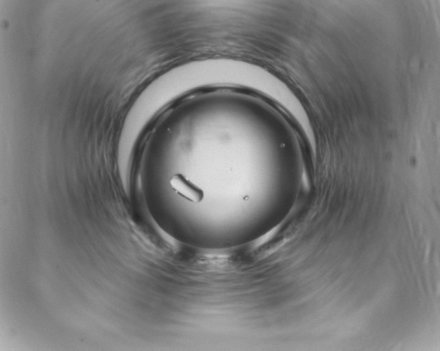 X0000088840428200706071425