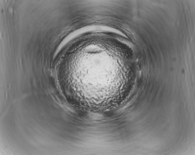 X0000088840429200706071425