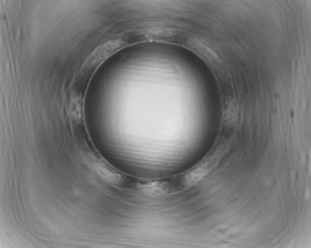 X0000088840430200706071425