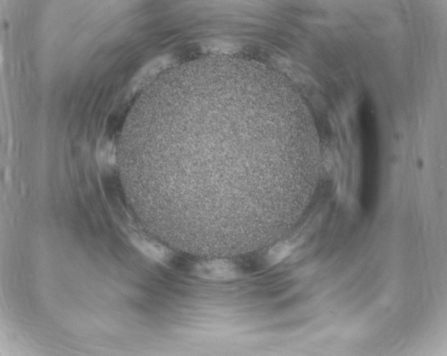 X0000088840431200706071425