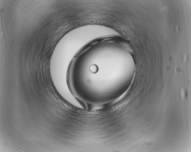 X0000088840432200706071425