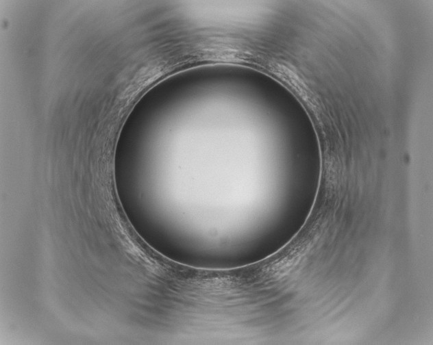 X0000088840433200706071424