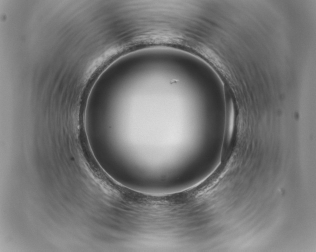 X0000088840438200706071424