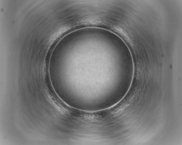 X0000088840439200706071424