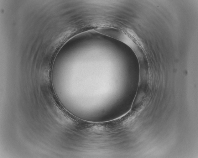 X0000088840441200706071424