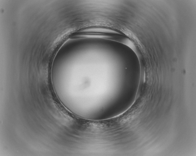 X0000088840442200706071424