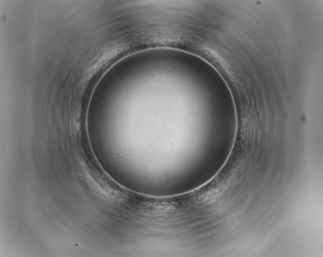 X0000088840443200706071424