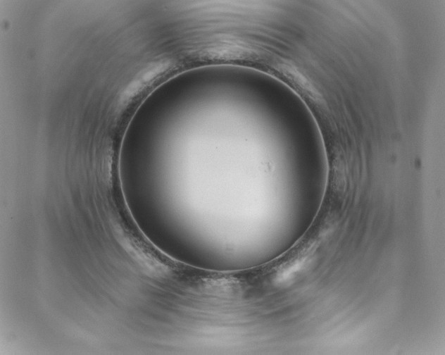 X0000088840446200706071424