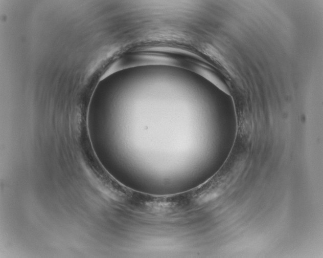 X0000088840448200706071424