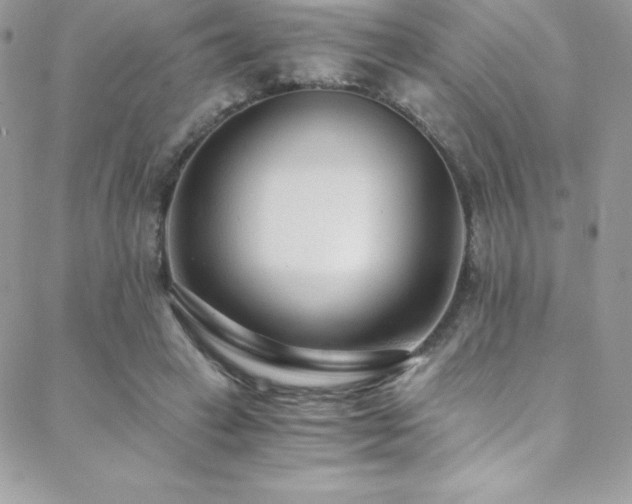 X0000088840449200706071424