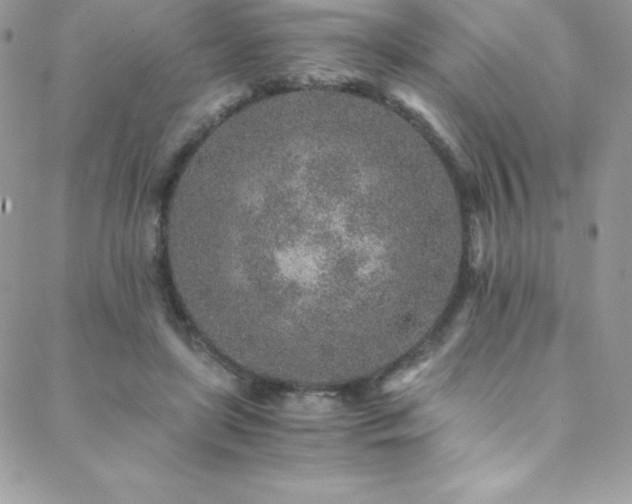 X0000088840451200706071424