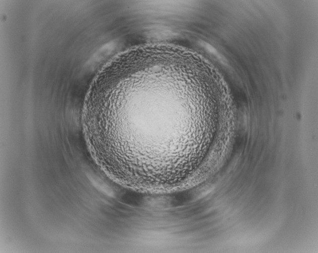 X0000088840452200706071424