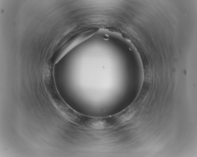 X0000088840456200706071424