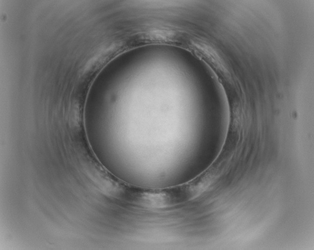 X0000088840457200706071424