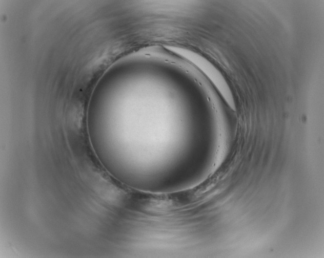 X0000088840458200706071424