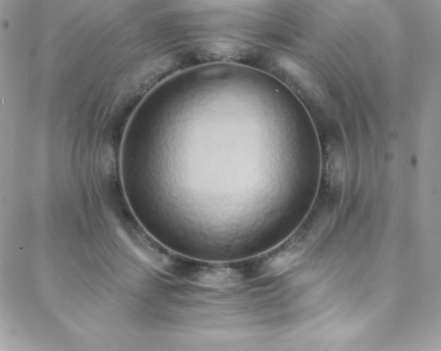 X0000088840459200706071424